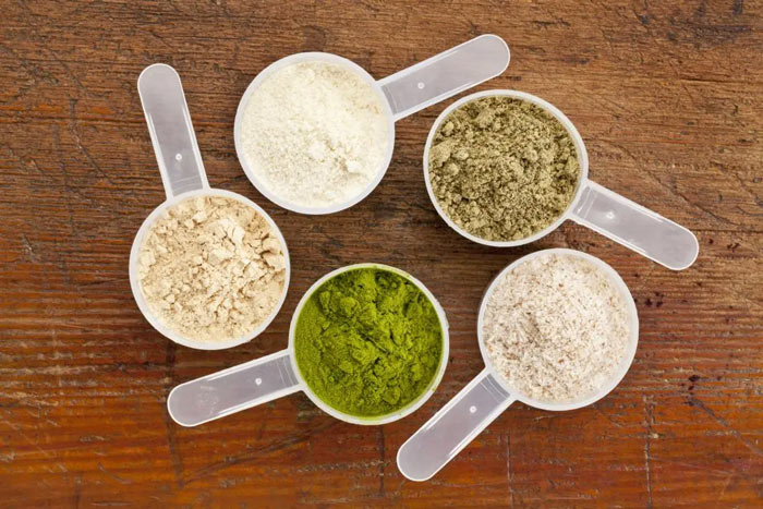 whey powder type