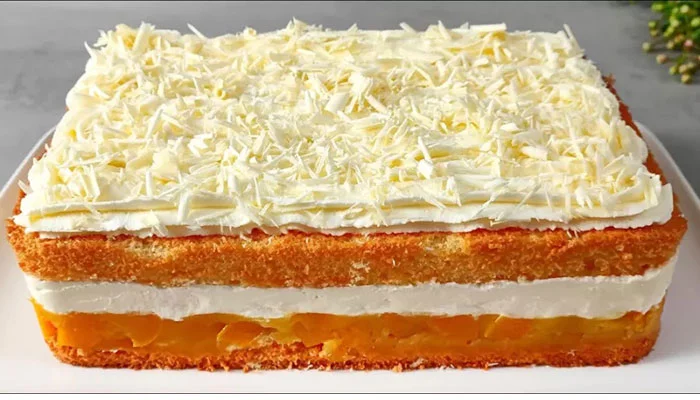 اندازه قالب کیک مستطیلی