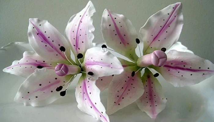 طرز تهیه گل گامپیستی بسیار ساده