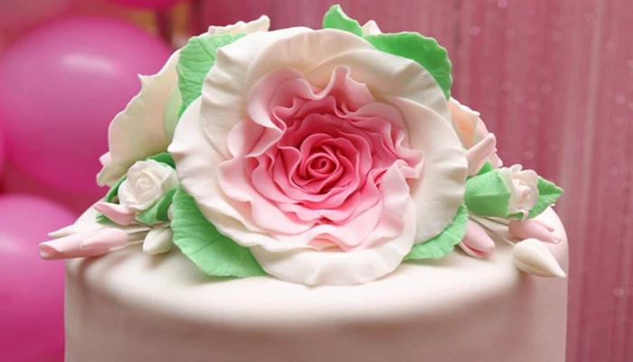 خمیر گامپیست چیست؟ چه کاربردهایی دارد