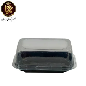 باکس کیک نفیس مخصوص حمل کروسان و شیرینی